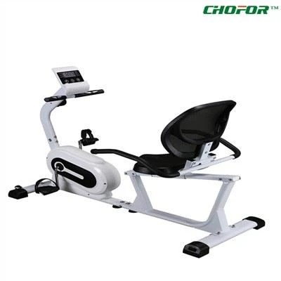 Magnetic Recumbent Bike for home